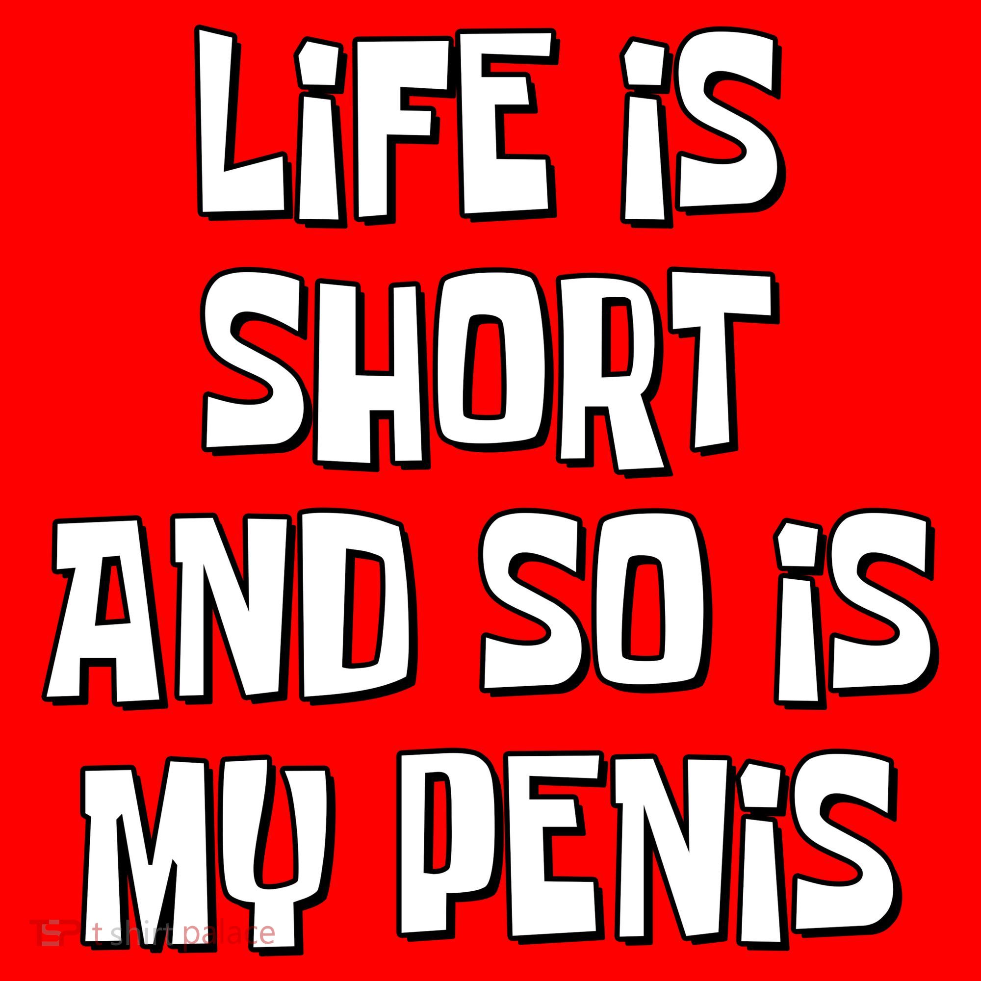 Life Is Short And So Is My Penis Funny Santa Hat