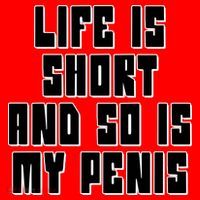 Life Is Short And So Is My Penis Humor Santa Hat thumb 1