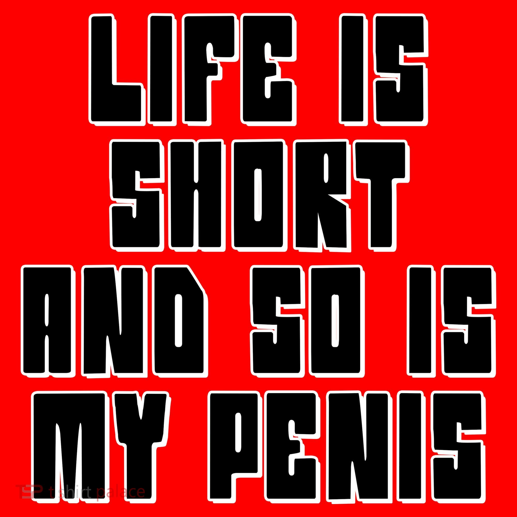 Life Is Short And So Is My Penis Humor Santa Hat