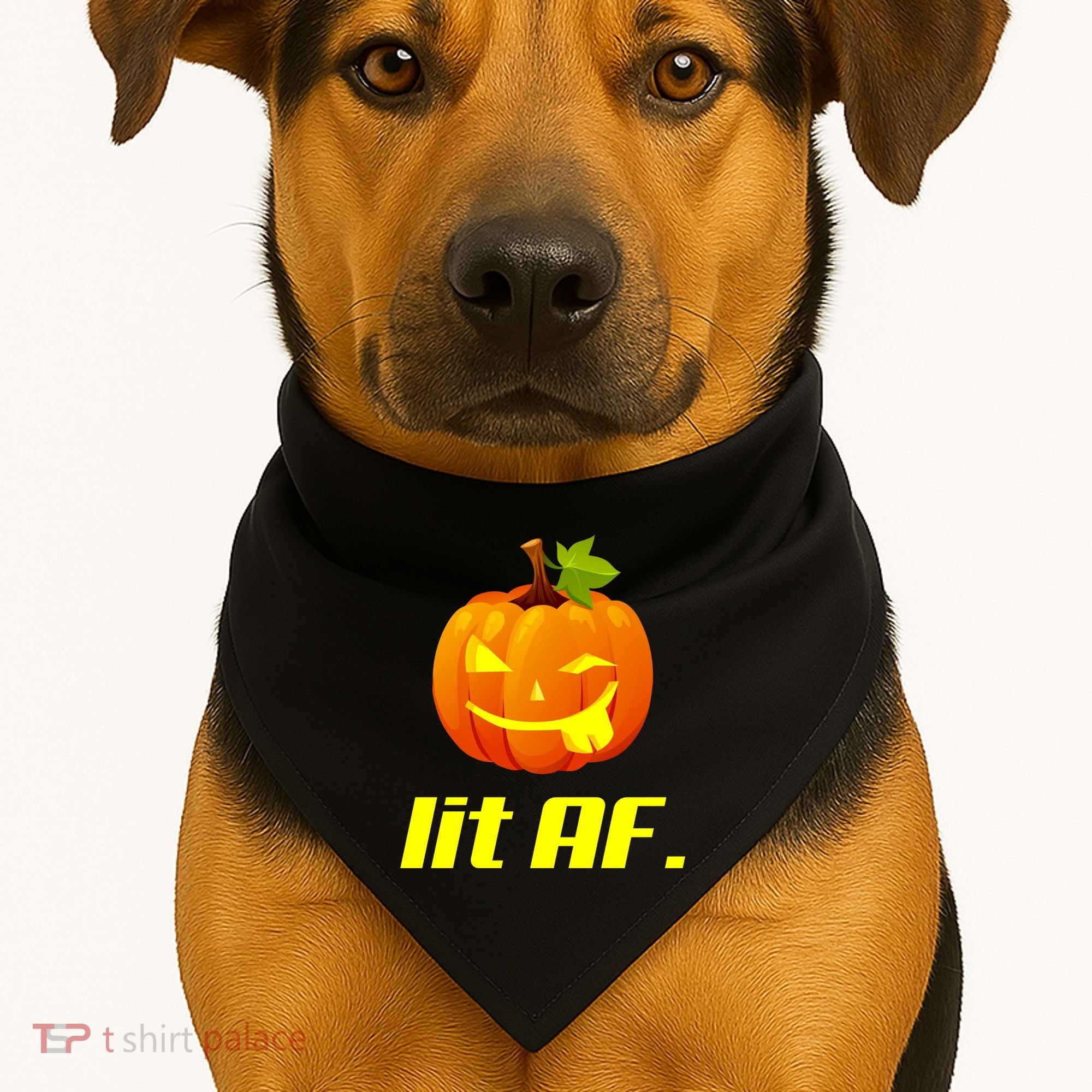 Lit AF Funny Halloween Jack O Lantern Pumpkin USA-Made Doggie Bandana