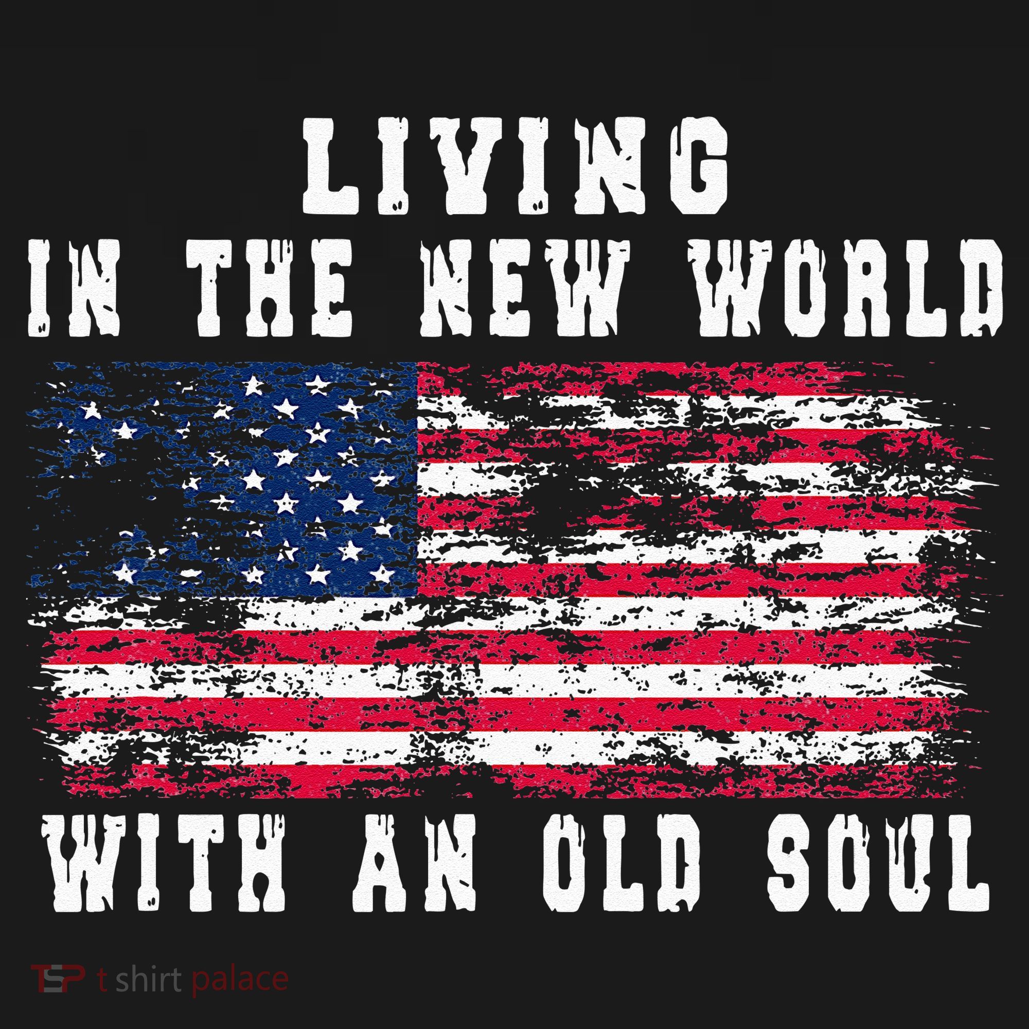 Living In The New World With An Old Soul America Flag T-Shirt