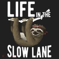 Life In The Slow Lane Funny Sloth Lover Meaningful Gift Women's Sweatshirt thumb 2