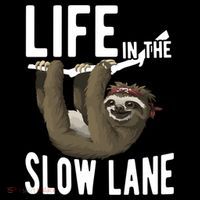 Life In The Slow Lane Funny Sloth Lover Meaningful Gift Coffee Mug thumb 5
