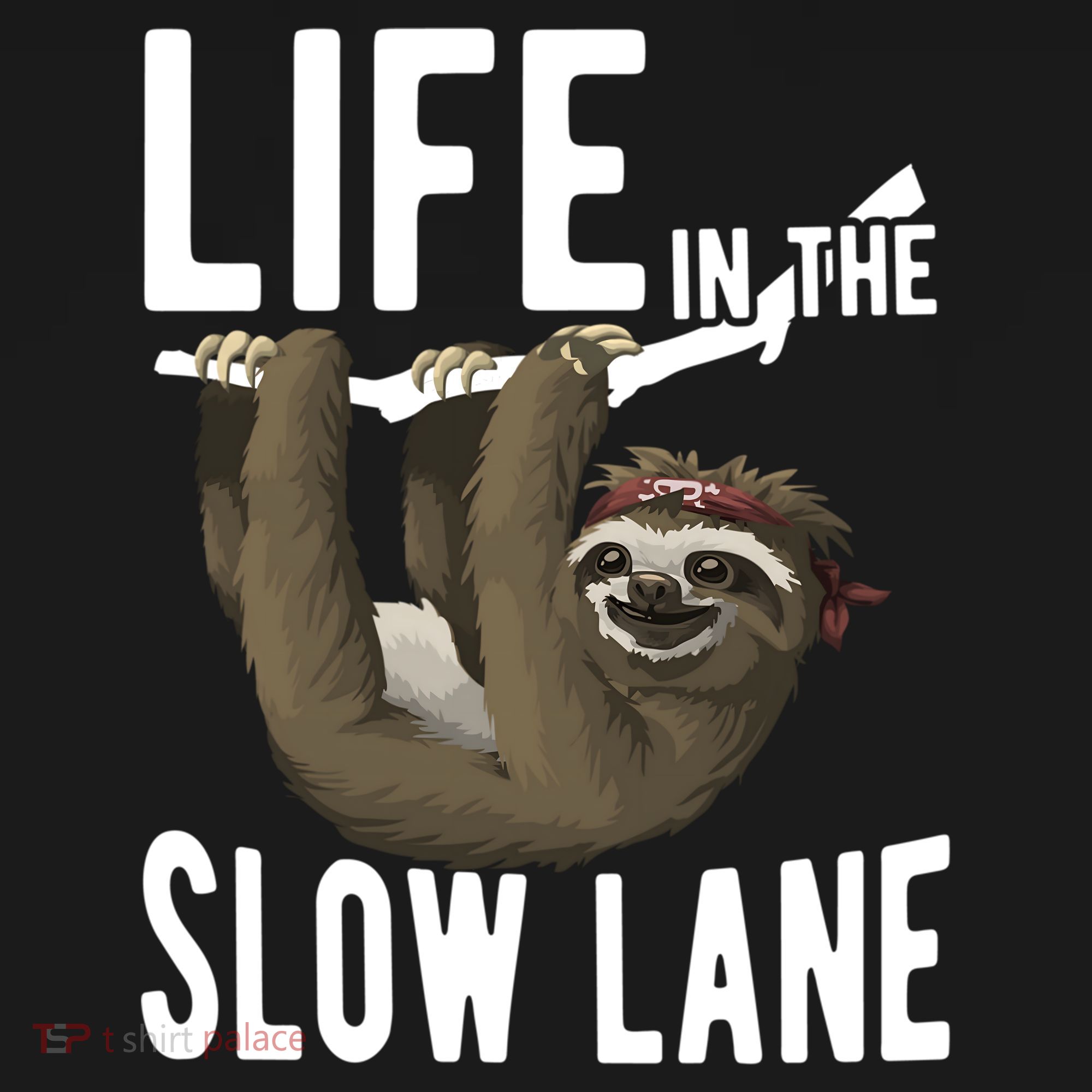 Life In The Slow Lane Funny Sloth Lover Meaningful Gift Women's Hoodie