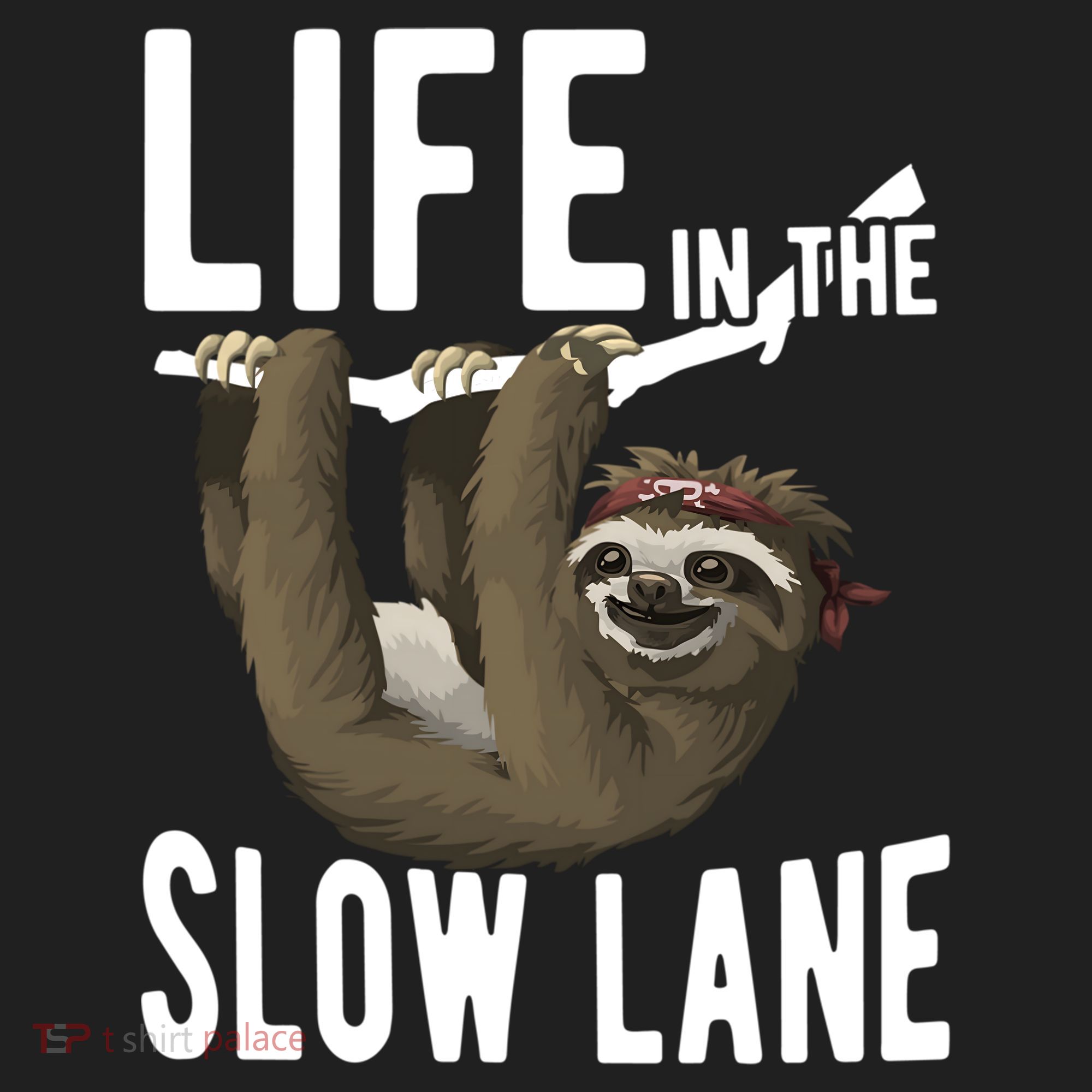 Life In The Slow Lane Funny Sloth Lover Meaningful Gift Hat