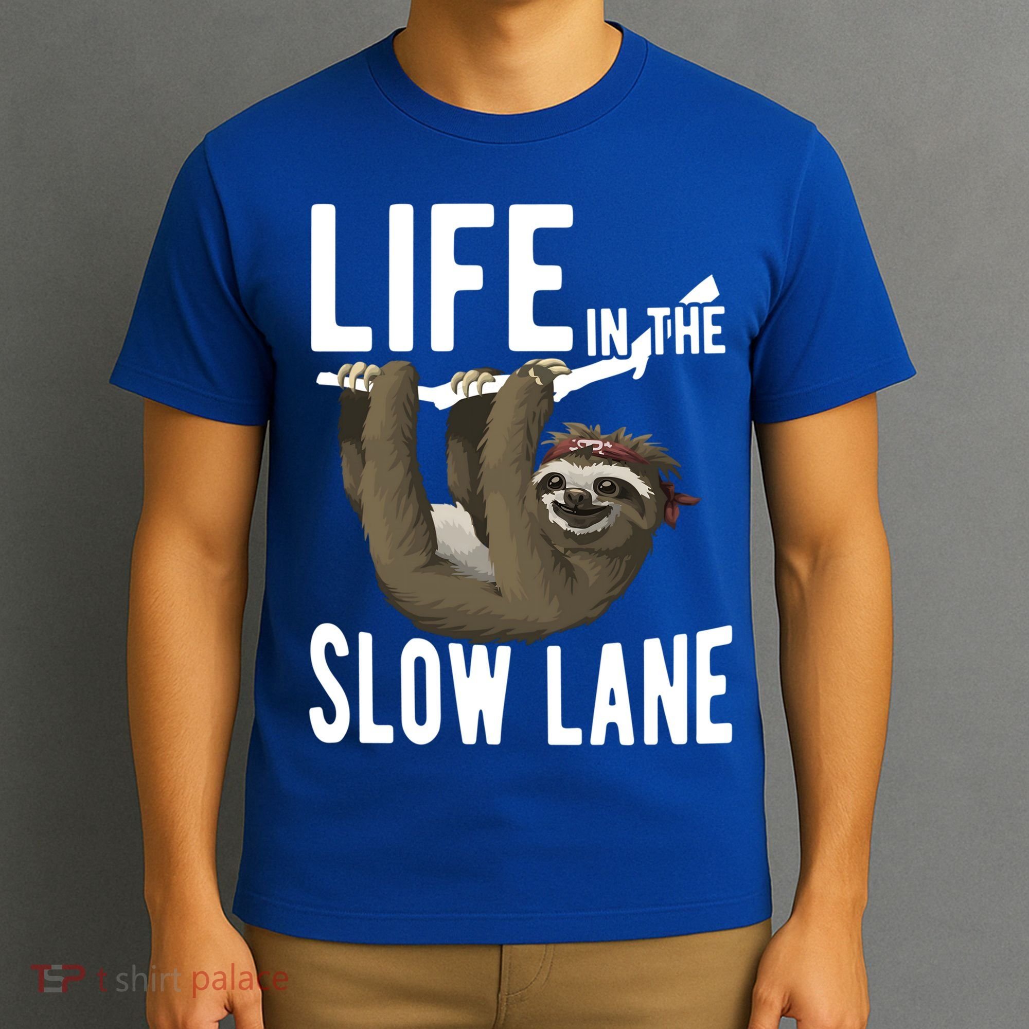Life In The Slow Lane Funny Sloth Lover Meaningful Gift T-Shirt