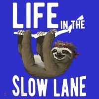 Life In The Slow Lane Funny Sloth Lover Meaningful Gift Coaster thumb 2
