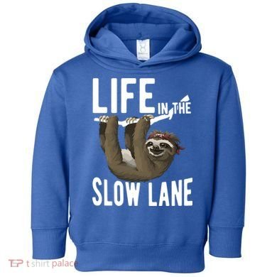 Life In The Slow Lane Funny Sloth Lover Meaningful Gift Toddler Hoodie