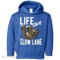 Life In The Slow Lane Funny Sloth Lover Meaningful Gift Toddler Hoodie thumb 0