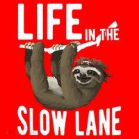 Life In The Slow Lane Funny Sloth Lover Meaningful Gift Santa Hat thumb 1