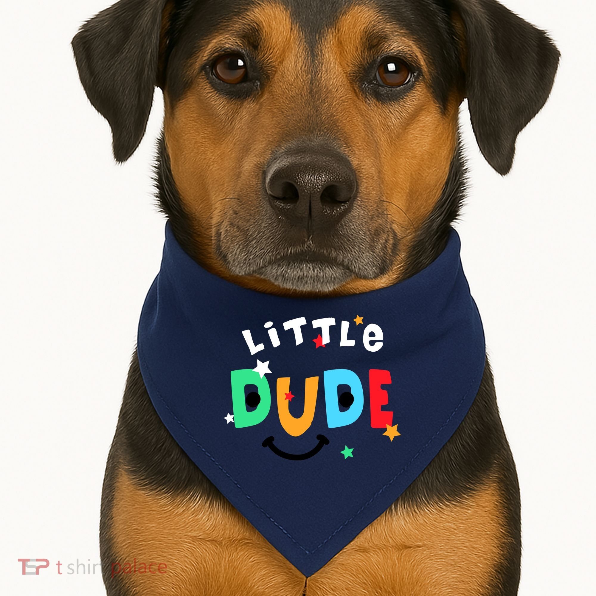 Little Dude USA-Made Doggie Bandana