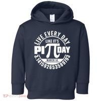 Live Every Day Like It's Pi Day March 14 3.14 Emblem Toddler Hoodie thumb 0