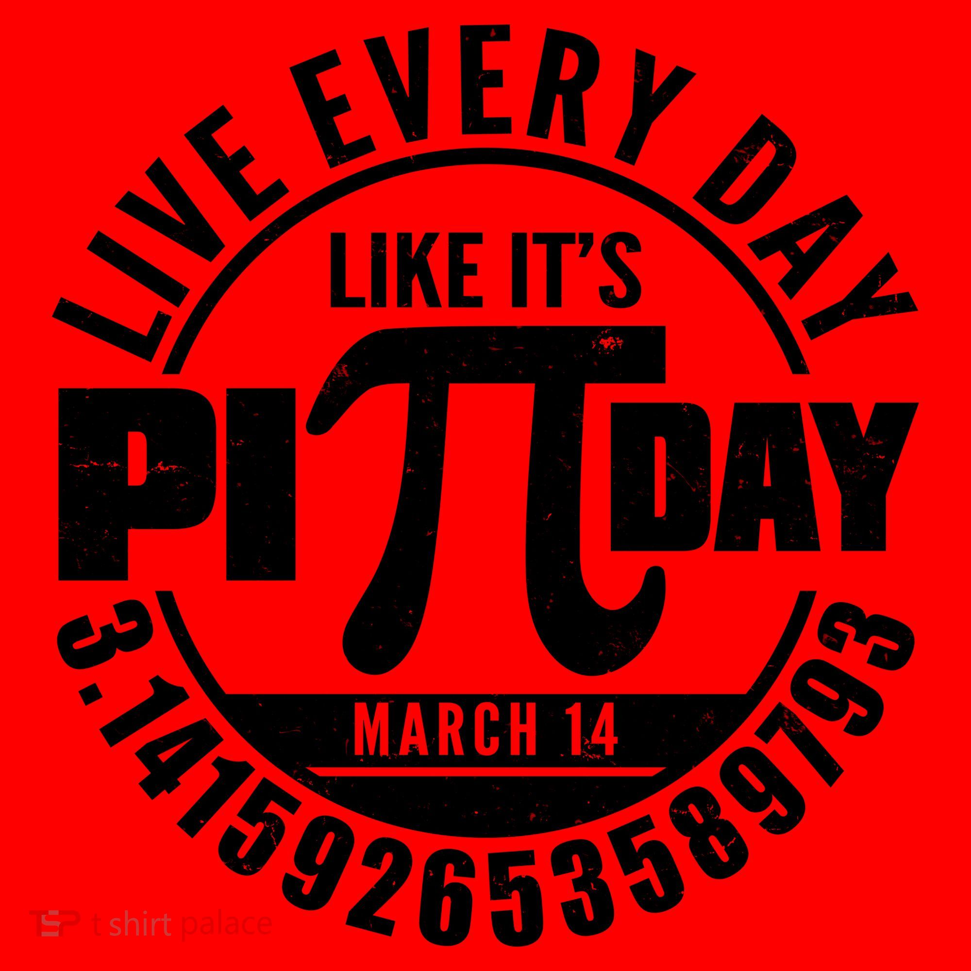 Live Every Day Like It's Pi Day March 14 3.14 Emblem Santa Hat