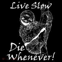 Live Slow Die Whenever Funny Sloth Ornament thumb 1