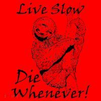 Live Slow Die Whenever Funny Sloth Santa Hat thumb 1