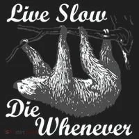 Live Slow Die Whenever Sloth Women's Sweatshirt thumb 2