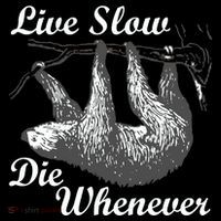 Live Slow Die Whenever Sloth Women's Hoodie thumb 2