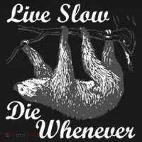 Live Slow Die Whenever Sloth Women's T-Shirt thumb 6