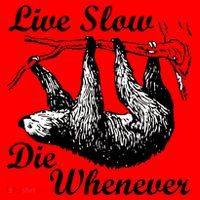 Live Slow Die Whenever Sloth Santa Hat thumb 1