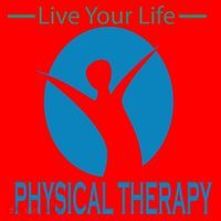 Live Your Life Physical Therapy Santa Hat thumb 1
