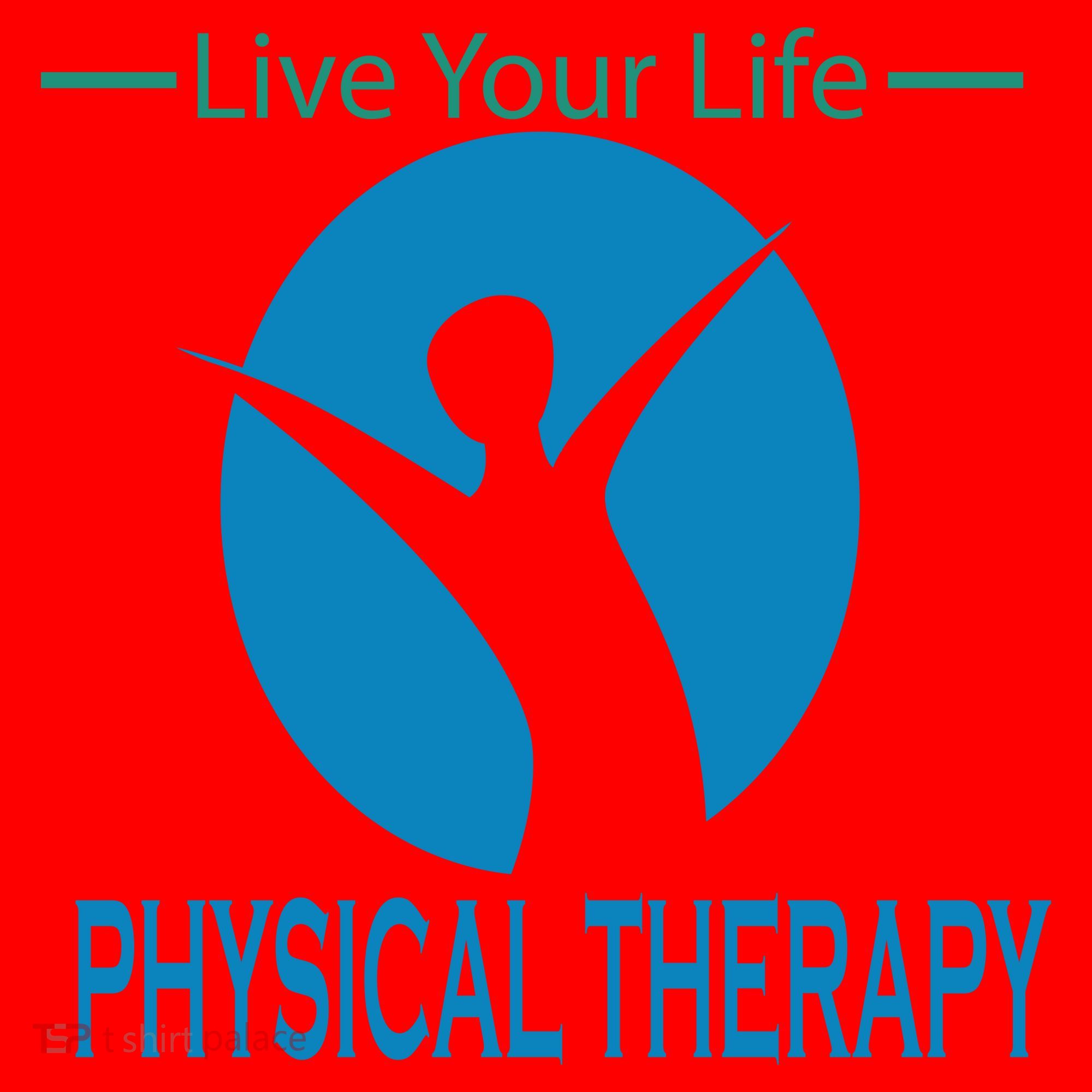 Live Your Life Physical Therapy Santa Hat