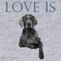 Love Is Weimaraner Women's Sweatshirt thumb 2