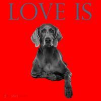Love Is Weimaraner Santa Hat thumb 1