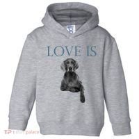Love Is Weimaraner Toddler Hoodie thumb 0