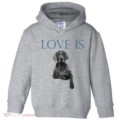 Toddler Hoodie