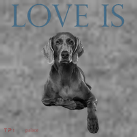 Love Is Weimaraner Toddler Hoodie thumb 2