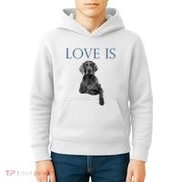 Love Is Weimaraner Kids Hoodie thumb 4