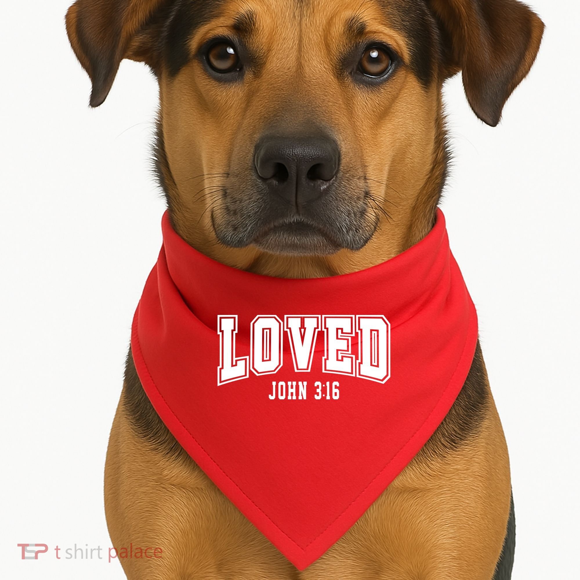 Loved John 3:16 Bible Verse Christian USA-Made Doggie Bandana