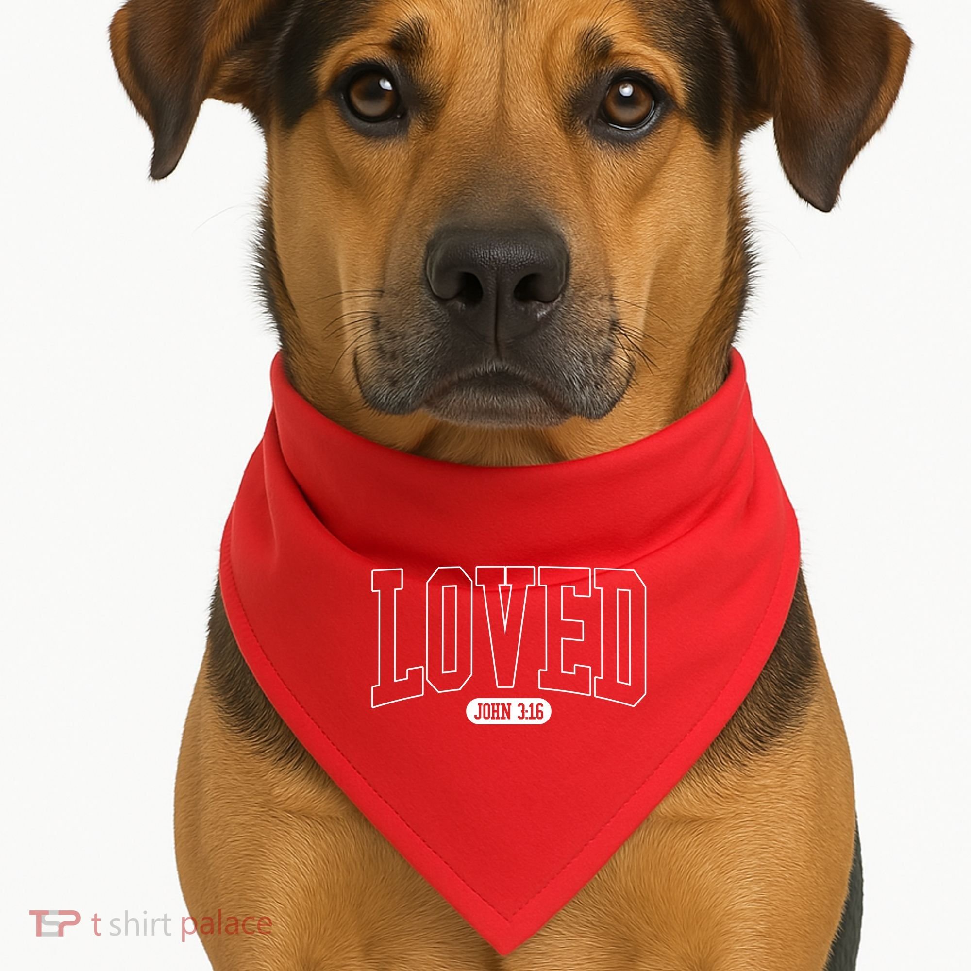 Loved John 3 16 USA-Made Doggie Bandana