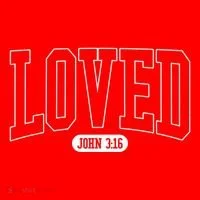 Loved John 3 16 Tumbler thumb 3