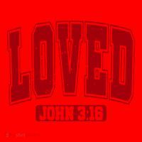 Loved John 3:16 Christian Valentines Bible Verse Valentine Gift Santa Hat thumb 1