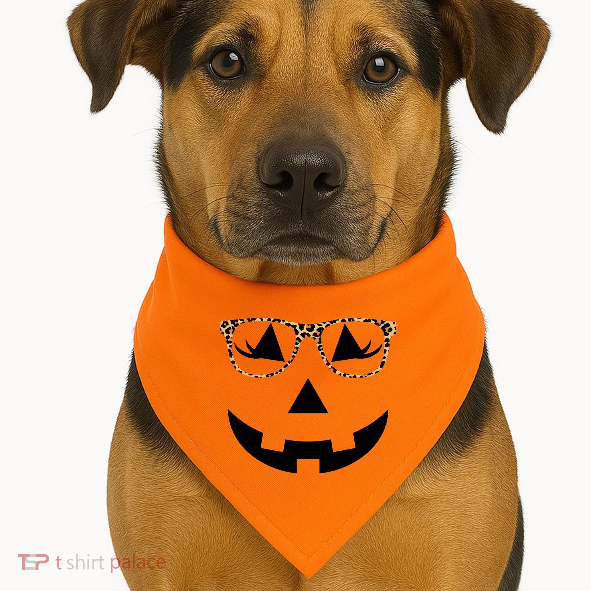 Leopard Jack O Lantern Pumpkin Face USA-Made Doggie Bandana