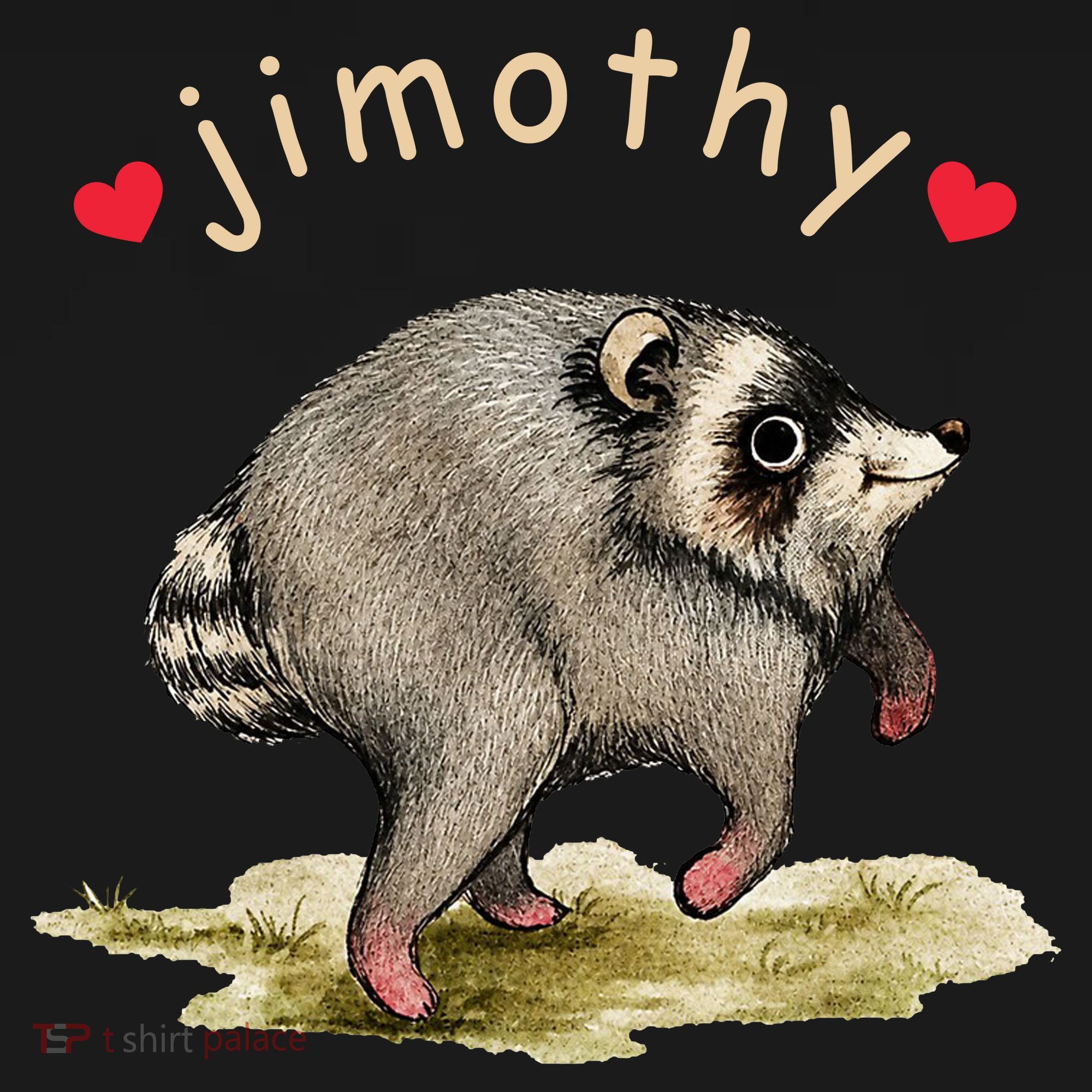 Love Jimothy Raccoon Seattle Feral Funny Trash Panda Polo