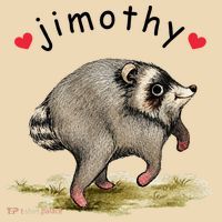Love Jimothy Raccoon Seattle Feral Funny Trash Panda Women's Tank Top thumb 2