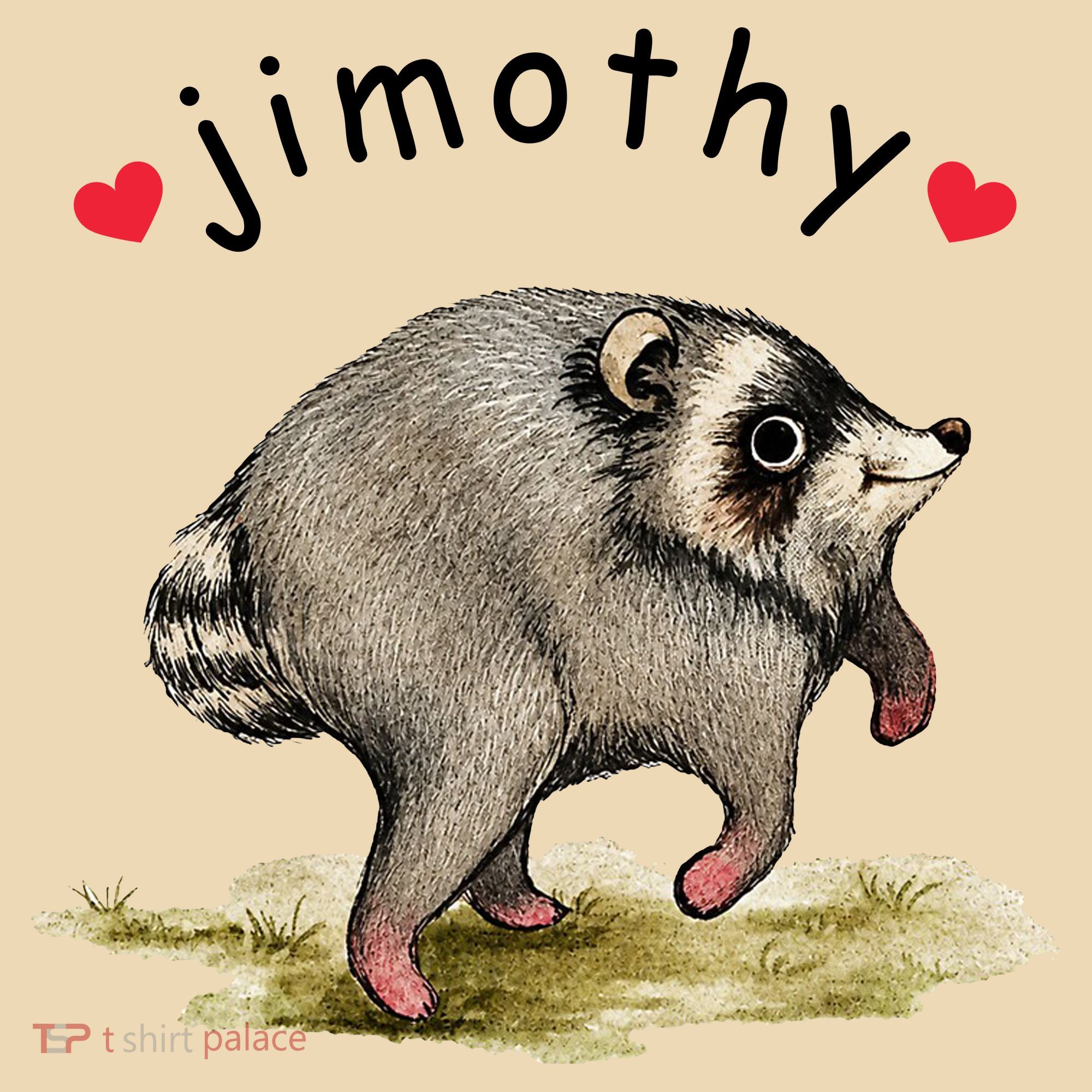 Love Jimothy Raccoon Seattle Feral Funny Trash Panda Women's Tank Top