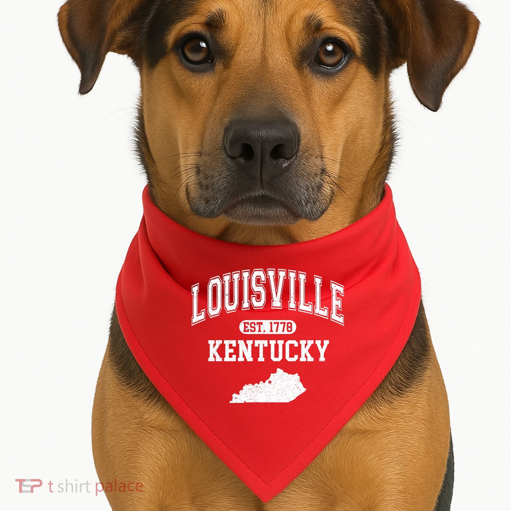 Louisville Kentucky Est 1778 Varsity USA-Made Doggie Bandana