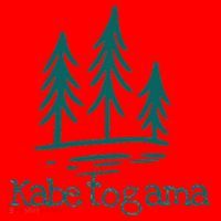 Lake Kabetogama Forest Rustic Camping Woods Trees Campground Santa Hat thumb 1