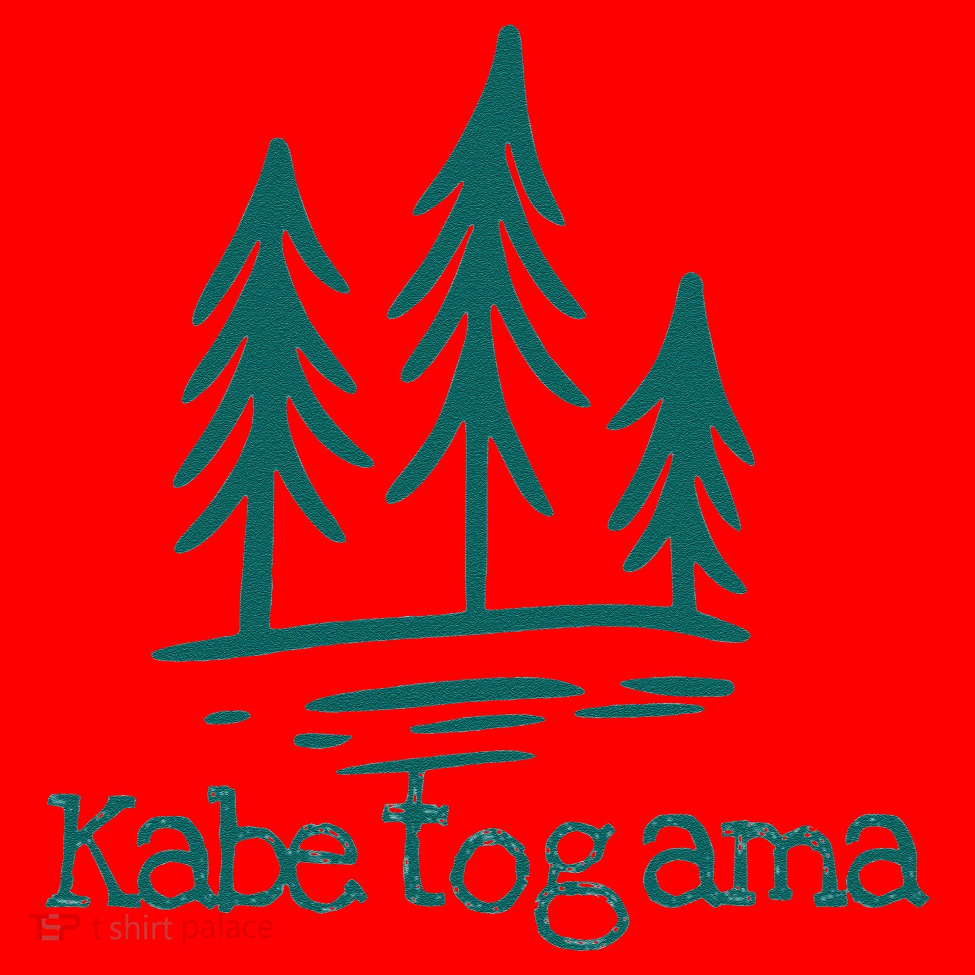 Lake Kabetogama Forest Rustic Camping Woods Trees Campground Santa Hat