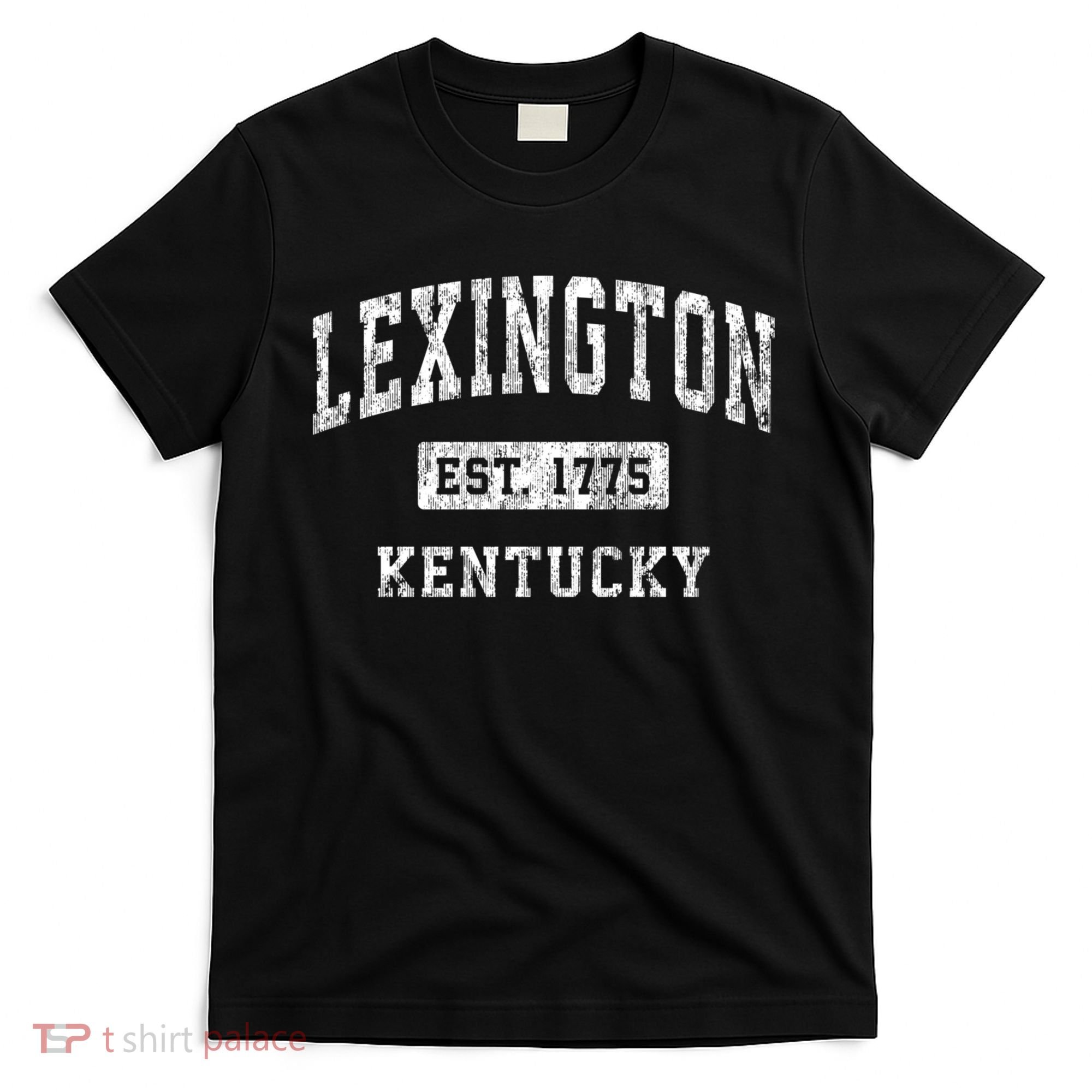 Lexington Kentucky Ky Vintage Established Sports T-Shirt