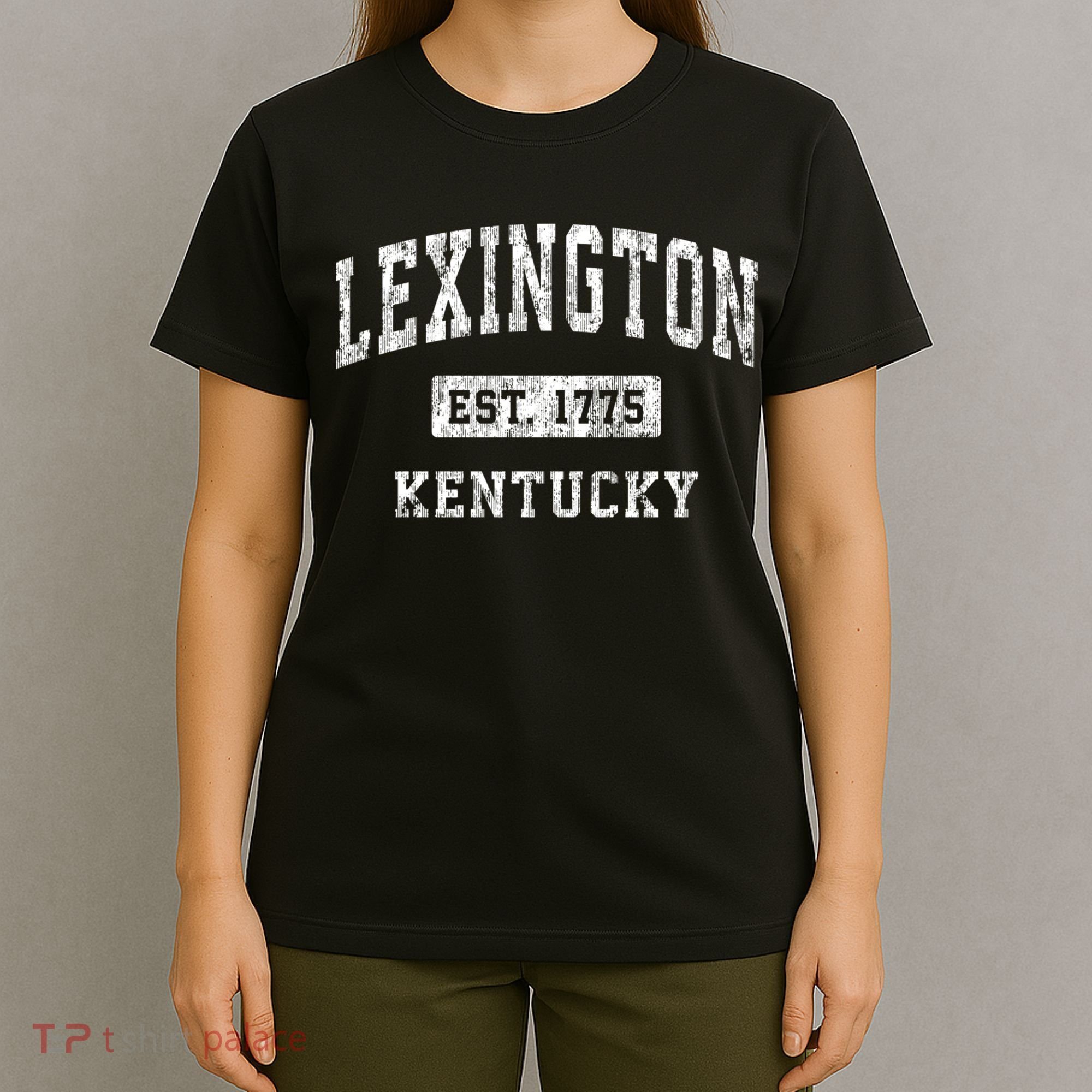 Lexington Kentucky Ky Vintage Established Sports T-Shirt