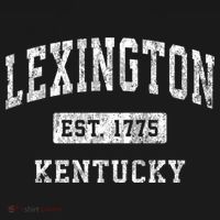 Lexington Kentucky Ky Vintage Established Sports T-Shirt thumb 7