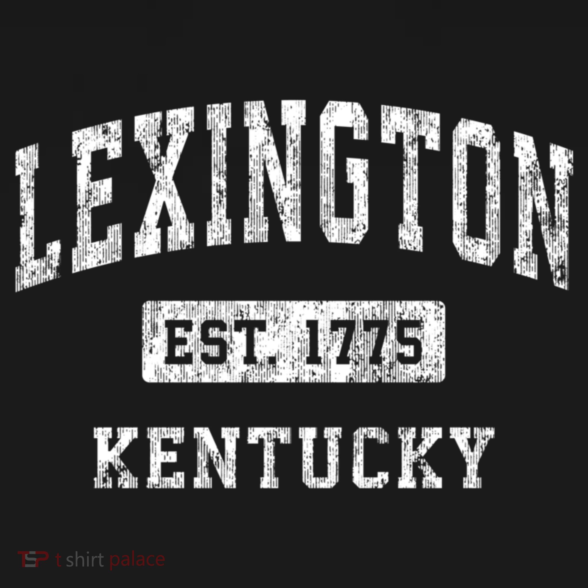 Lexington Kentucky Ky Vintage Established Sports T-Shirt