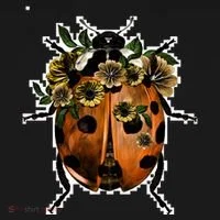 Ladybug Doggie Tank thumb 4
