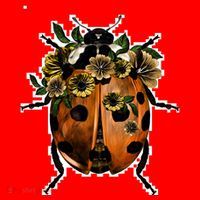 Ladybug Santa Hat thumb 1