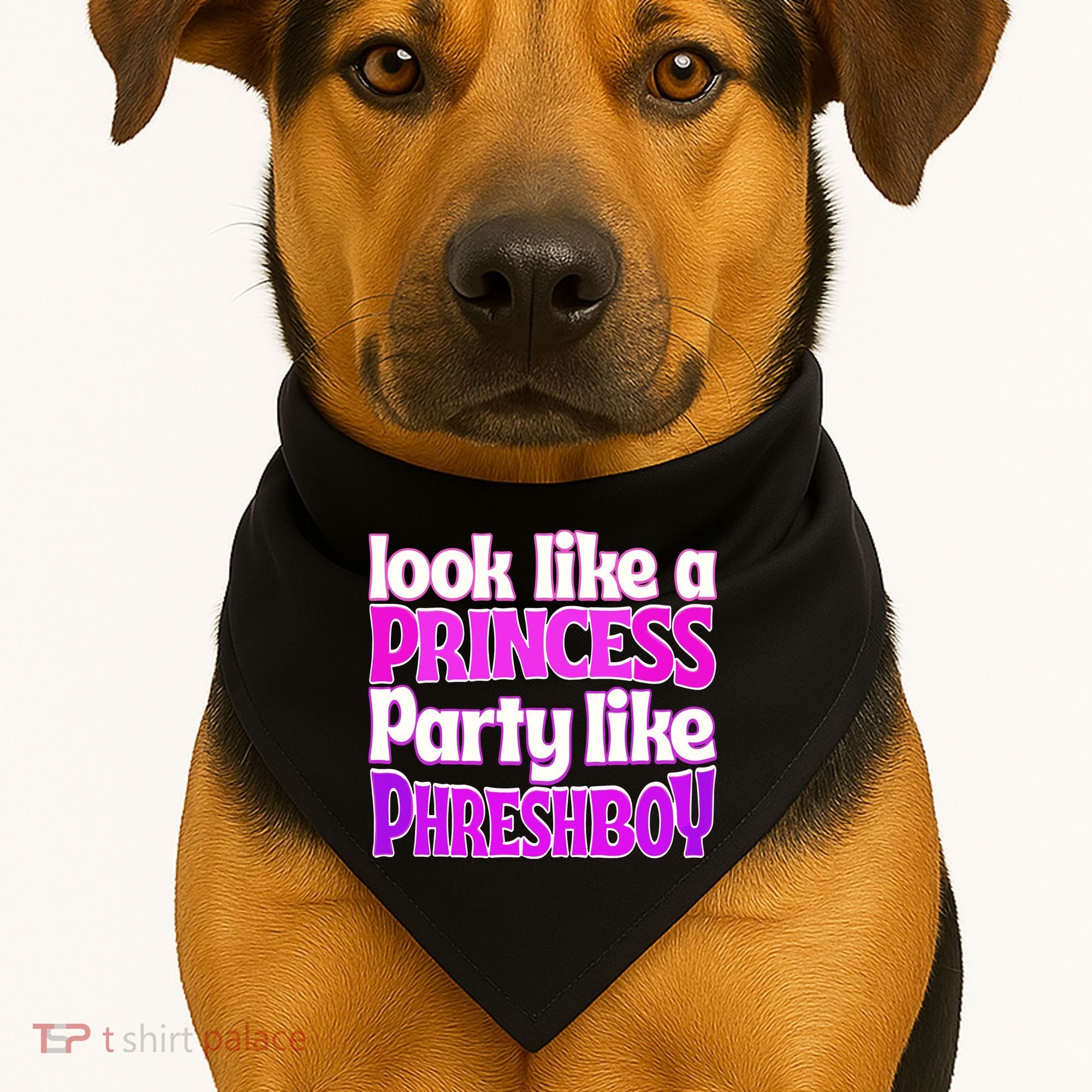 Look Like A Princess Party Like Phreshboy USA-Made Doggie Bandana