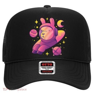 Llama Astronaut Hat